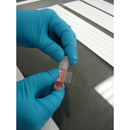 Brady THT-134-461-3<TableFootnote></TableFootnote> Thermal Transfer Printable Labels 062366