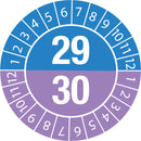 Brady DATE INSPECTION LBLS B-429 29/30 -DIA 20 Tamper-evident Inspection Date Labels  Year 29/30 834089
