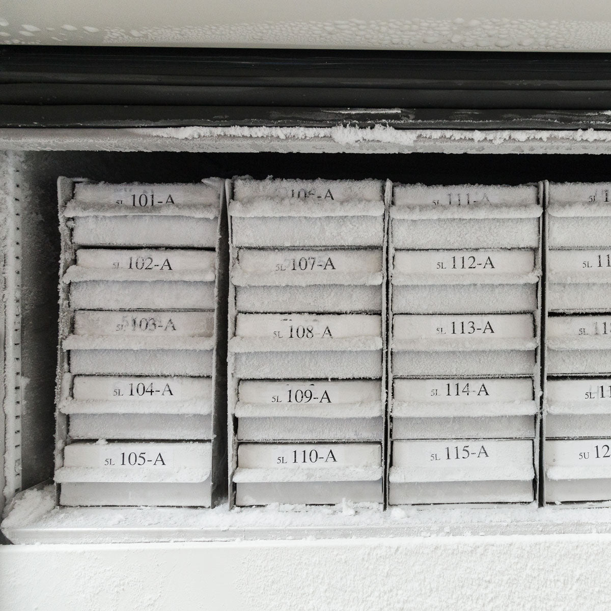 Brady M21-375-499 Nylon Cloth Tape For Bmp21-Plus; Bmp21; Idpal; Labpal 110893