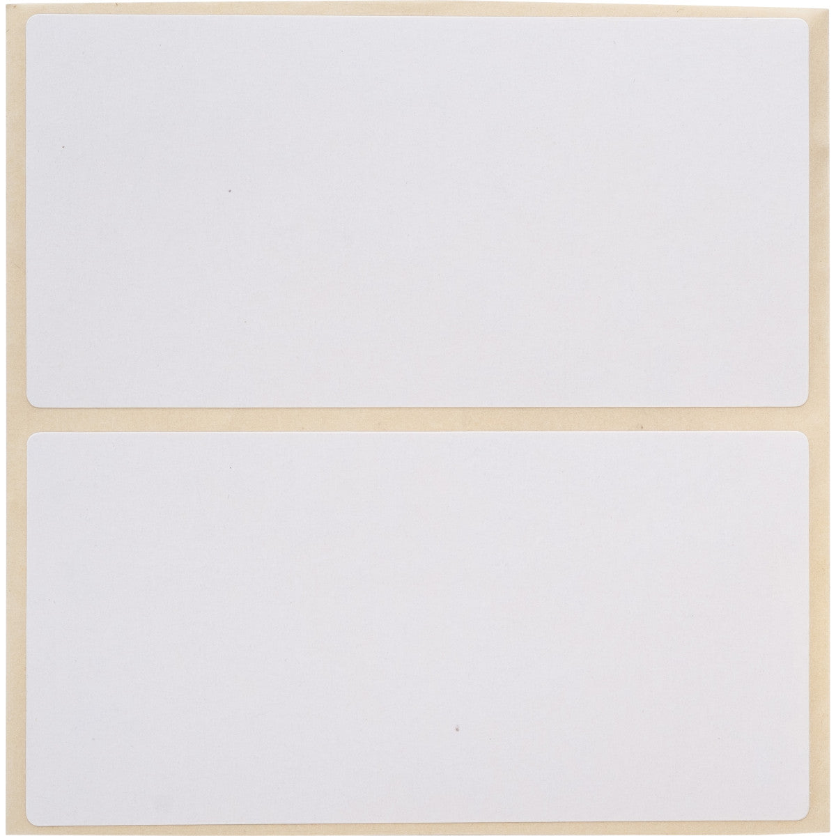 Brady THT-55-484-1 Thermal Transfer Printable Labels 062394