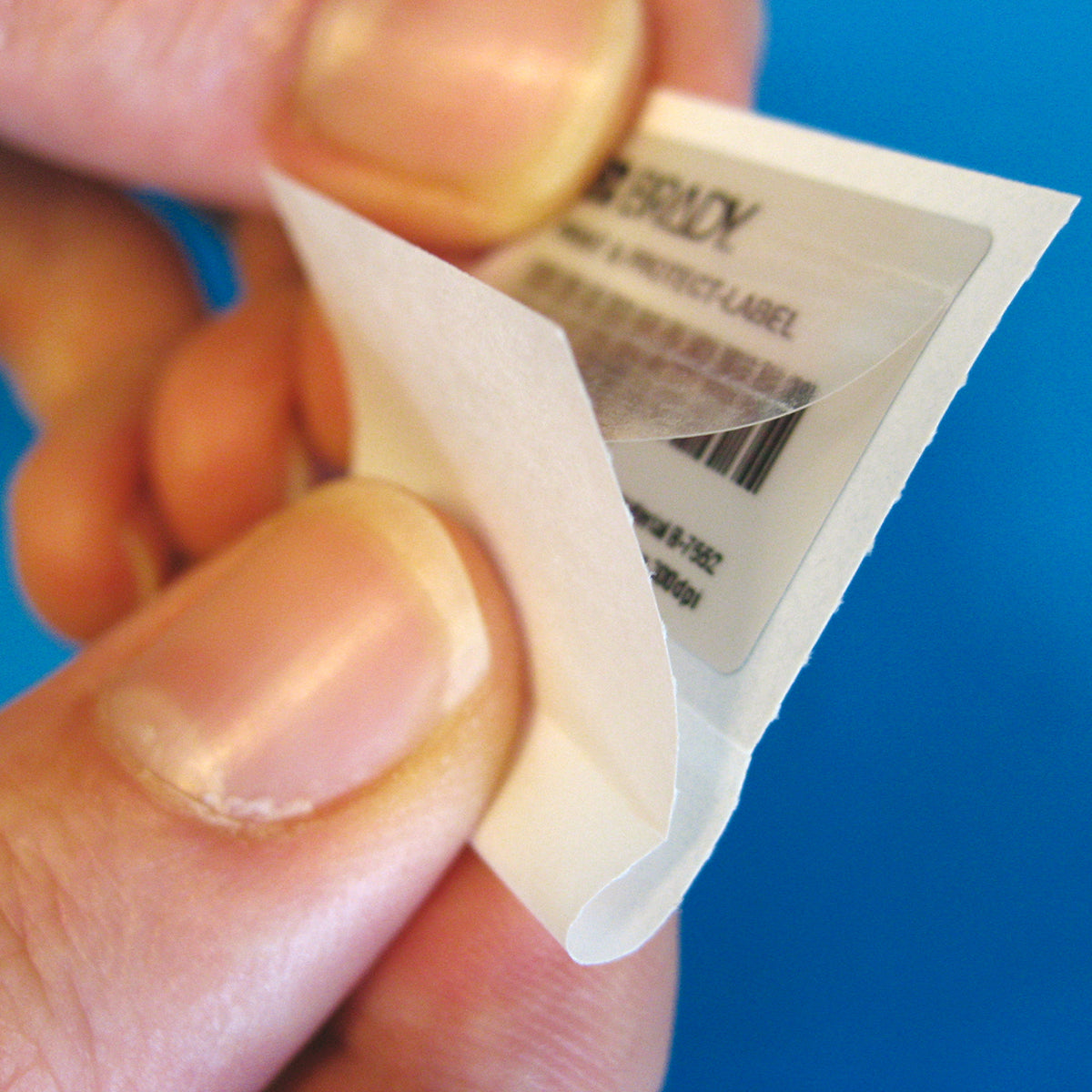 Brady THTPNP-03-434/7564-1 Print And Protect Thermal Transfer Printable Labels 620475