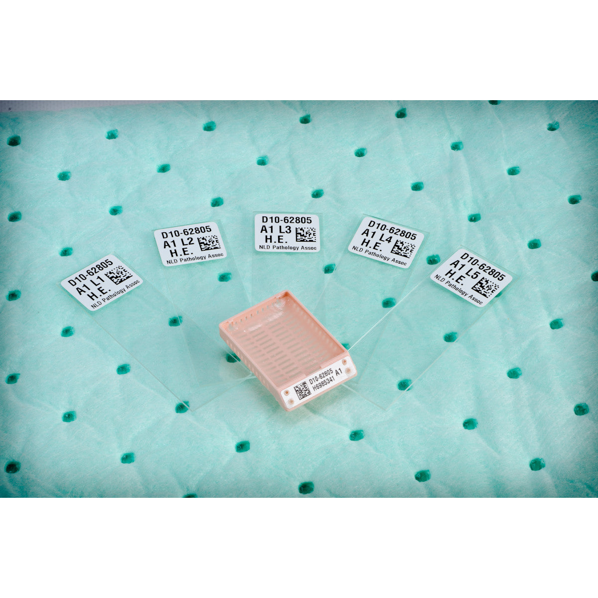 Brady B33-199-481 Tissue Cassette Labels for BBP33/i3300/i5300 Printers 151979