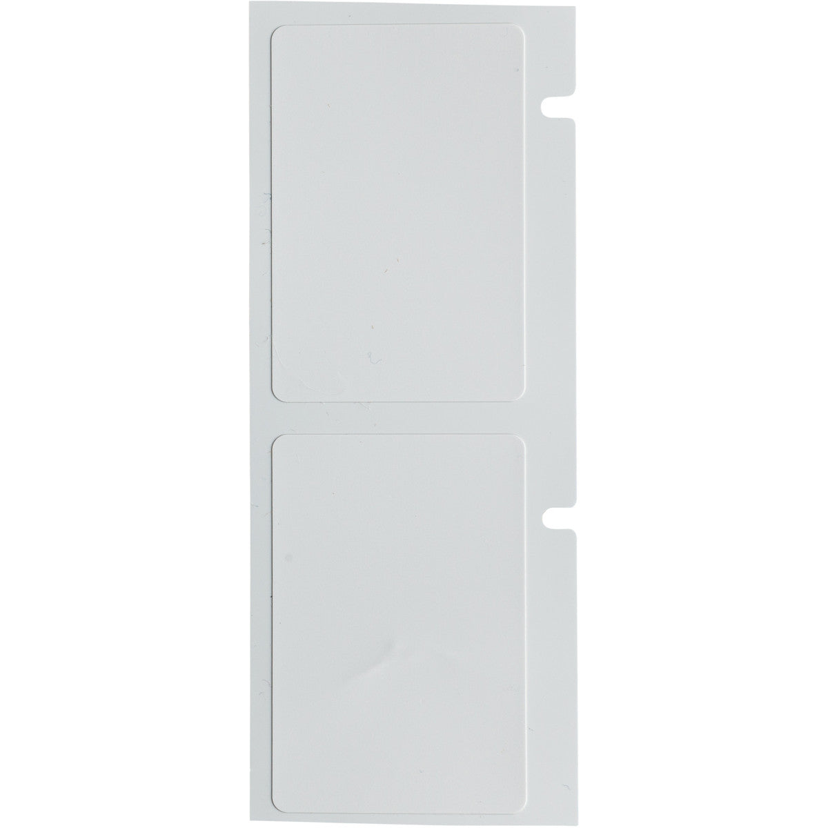 Brady A55-1-425 Polypropylene Thermal Transfer Printable Labels for BradyPrinter A5500 151835