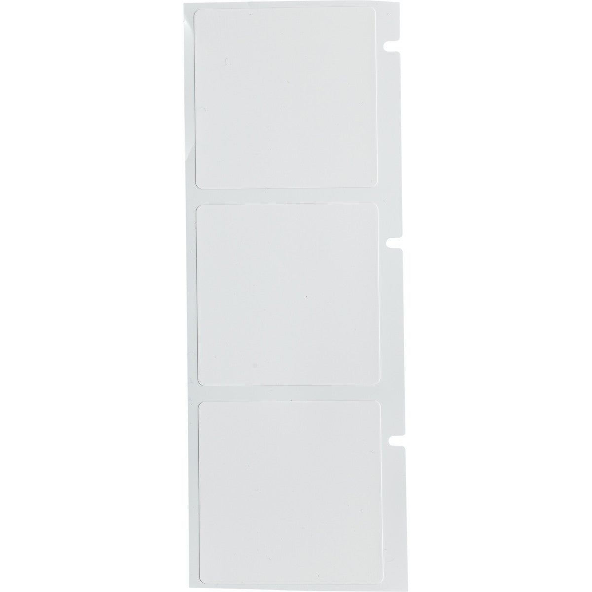 Brady A55-2-437 Polyvinylfluoride Thermal Transfer Printable Labels for BradyPrinter A5500 151846