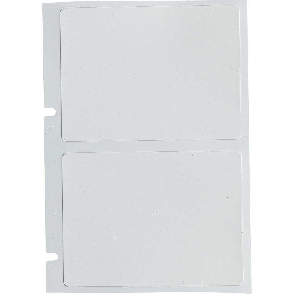 Brady A55-3-425 Polypropylene Thermal Transfer Printable Labels for BradyPrinter A5500 151837