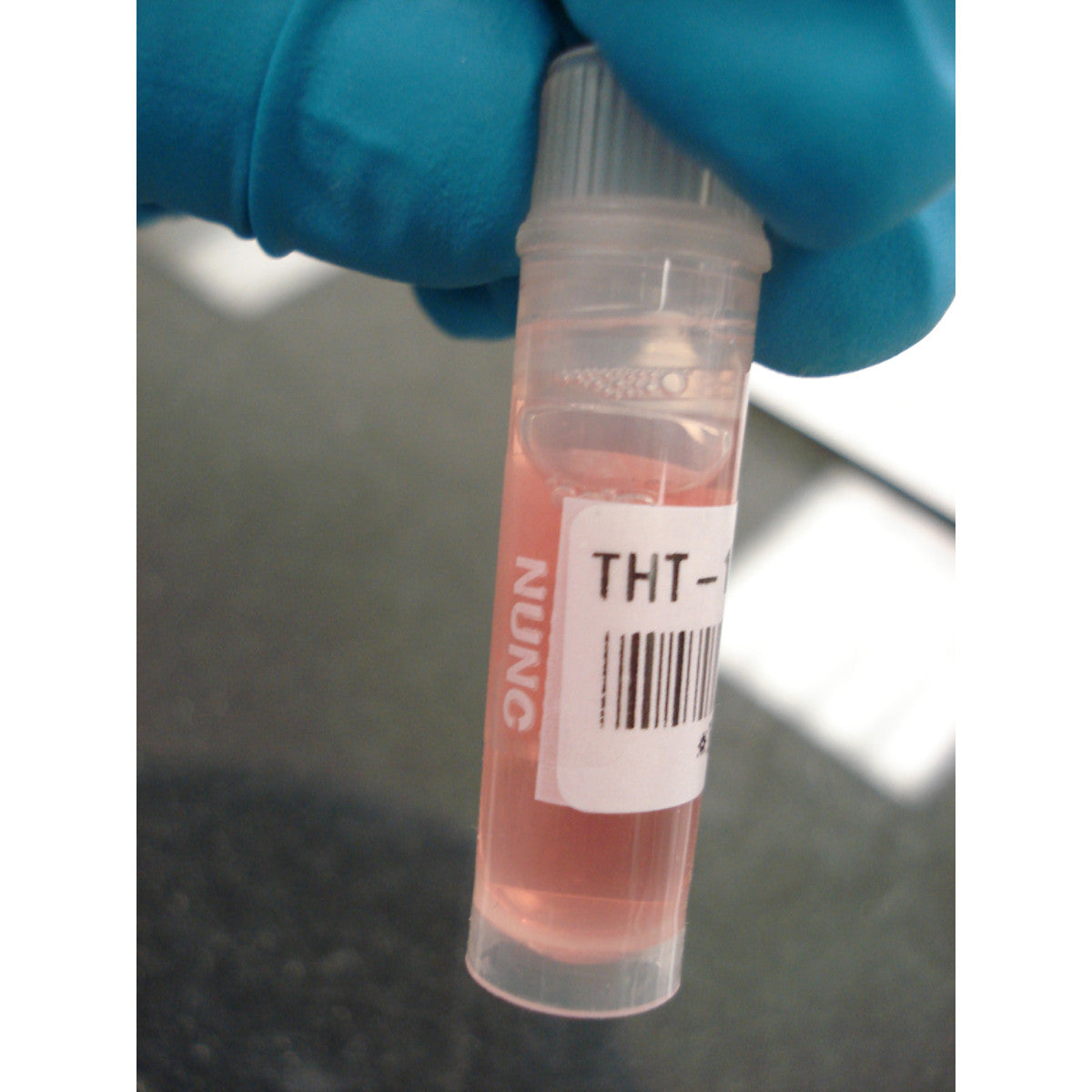 Brady THT-123-461-1.5-SC<TableFootnote></TableFootnote> Thermal Transfer Printable Labels 116387