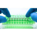 Brady THT-289-492-2-WT PCR Tube Label for Thermal Transfer Printers 198751