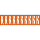 Brady CNL1O K Identical numbers and letters on one card for indoor use 912706