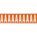 Brady CNL2O A Identical numbers and letters on one card for indoor use 911981