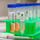 Brady M6-78-488 Solvent Resistant Polyester Labels for M610, M611, BMP61, M710 (with media adapter) and BMP71 (with media adapter) 174353