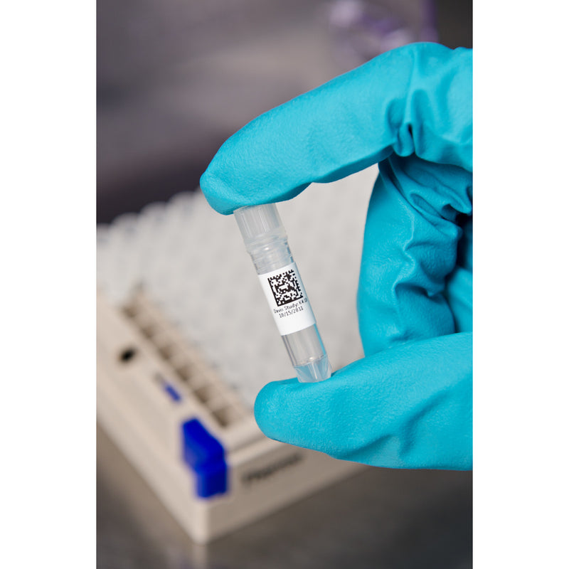 Brady B33-137-7425 Polypropylene Labels For The Bbp33/I3300 Printer 148683