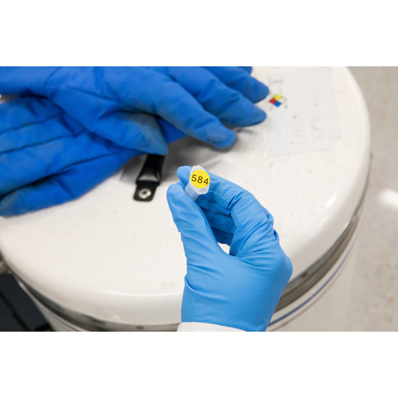 Brady M-82-499-YL-BK Bmp51/53 Labelmaker Labels 143346