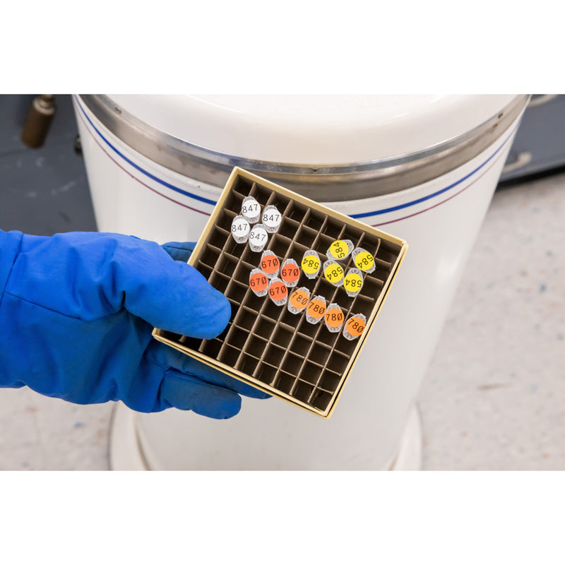 Brady M-82-499-OR-BK Bmp51/53 Labelmaker Labels 143340