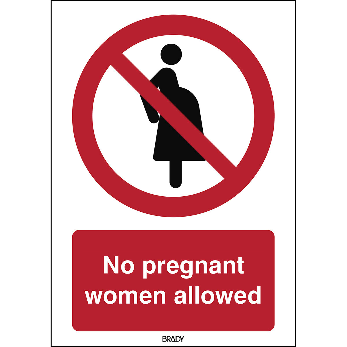 Brady P/P042/EN400/ALU-210X297-1 ISO Safety Sign - Not for pregnant women 197011