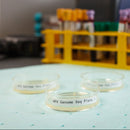 Brady B33-151-7425 Polypropylene Labels For The Bbp33/I3300 Printer 148678