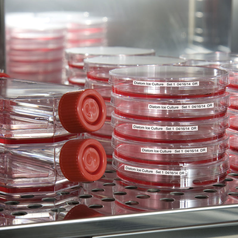 Brady B33-151-7425 Polypropylene Labels For The Bbp33/I3300 Printer 148678