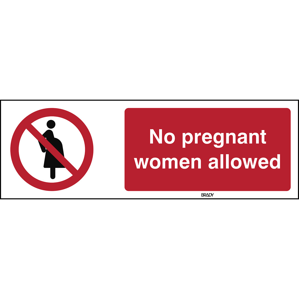 Brady P/P042/EN400/ALU-297X105-1 ISO Safety Sign - Not for pregnant women 197008