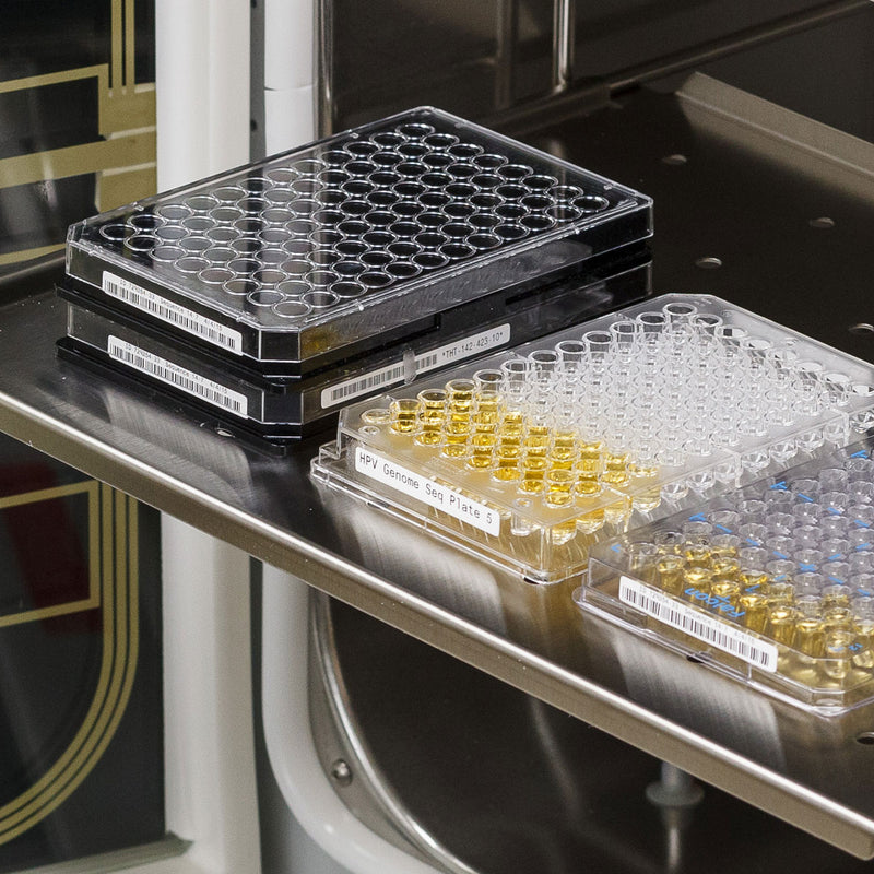 Brady B33-151-490 Freezerbondz Labels For Bbp33/I3300 Printers 142941