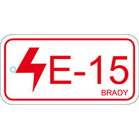 Brady Energy Tag-E-15-75X38Mm-Sapp/25 Energy Source Tag Control Panel 138833