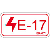 Brady Energy Tag-E-17-75X38Mm-Sapp/25 Energy Source Tag Control Panel 138835