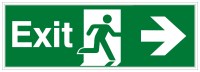 Brady E/En1/E002/A90-Pp-Pholumb-450X150/1-B Glow-in-the-dark safety sign 834732