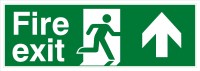 Brady E/En30/E002/A0-Pp-Pholumc-300X150/1-B Glow-in-the-dark safety sign 834769