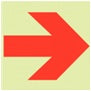 Brady F/A90R/Nt-Pp-Pholumb-300X100/1-B Glow-in-the-dark safety sign 836672