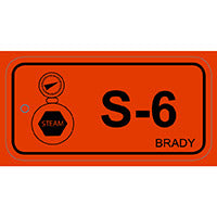 Brady Energy Tag-S-6-75X38Mm-Pp/25 Energy Source Tag Steam 138761