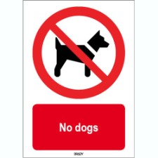 Brady Sten P021-148X210-Pp-Crd/1 ISO 7010 Sign - No dogs 824592